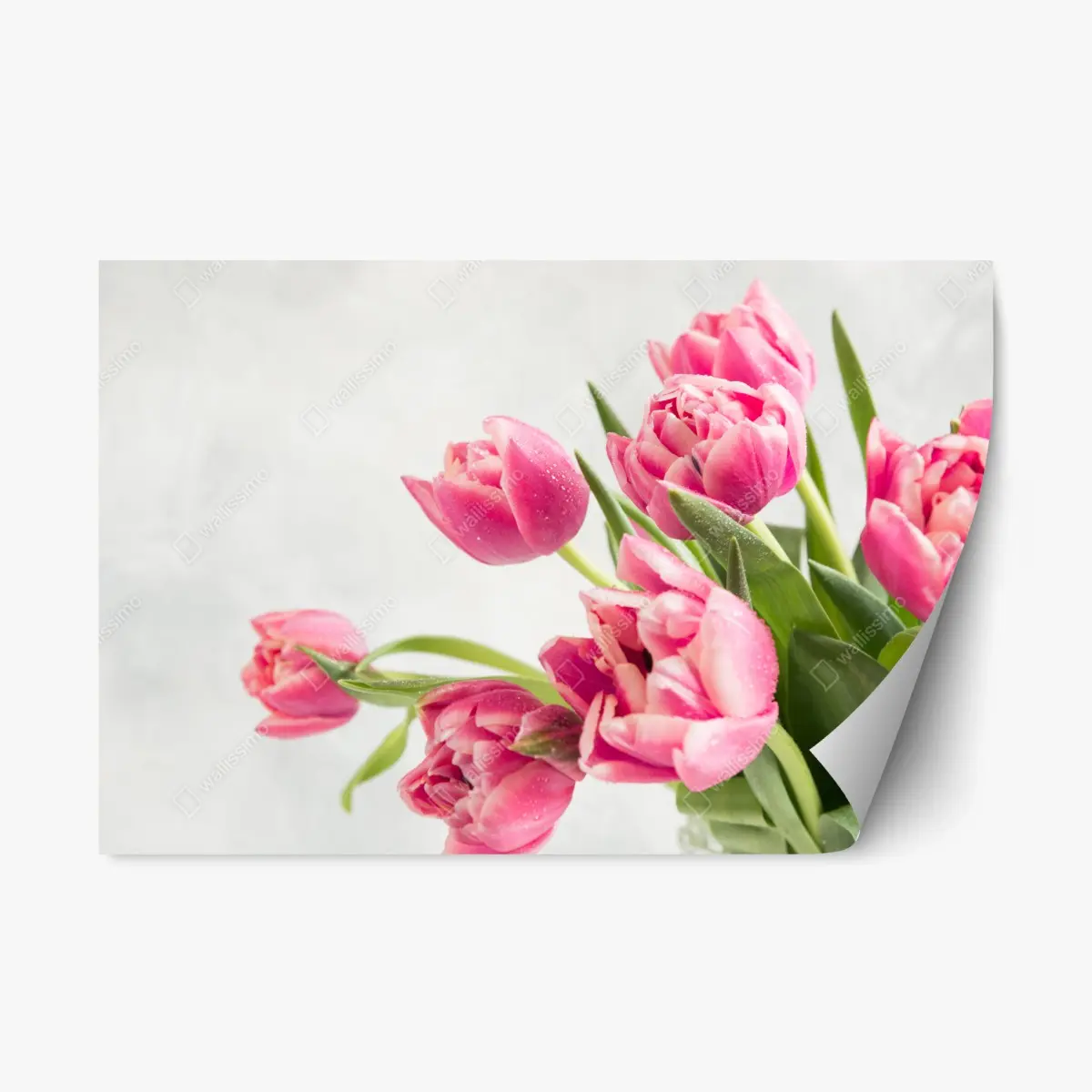 Repositionierbarer Aufkleber eleganter strauß rosa tulpen – Pixers®