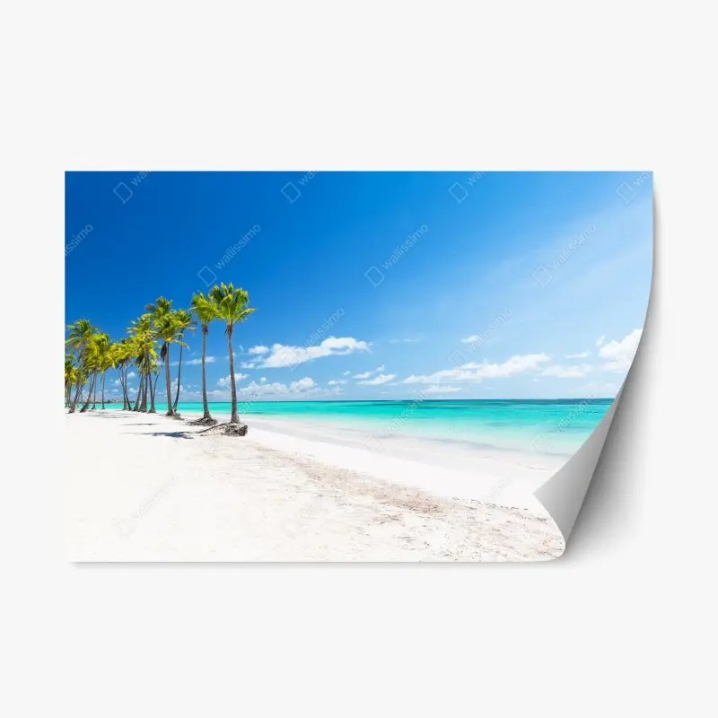 Repositionierbarer Aufkleber palmen am strand von Punta Cana