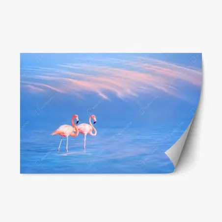 Repositionierbarer Aufkleber rosa flamingos auf pastellfarbenem wasser – Pixers®