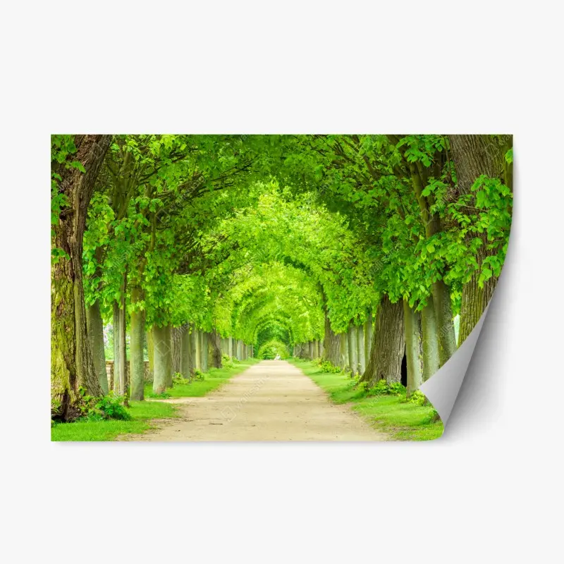 Repositionierbarer Aufkleber grüner baumtunnel