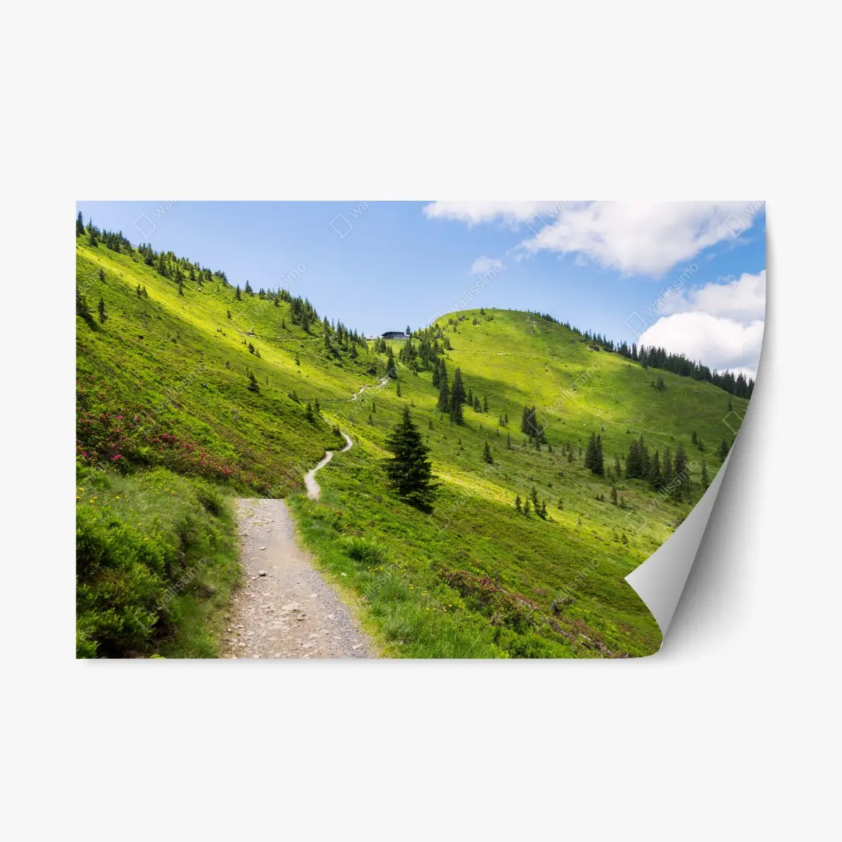 Repositionierbarer Aufkleber sonniger bergpfad durch grüne wiese – Pixers®