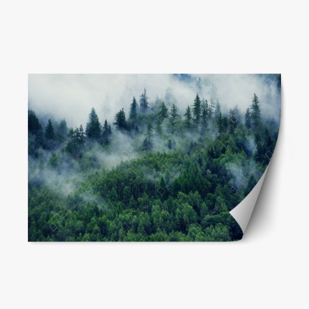 Repositionierbarer Aufkleber nebliger grüner wald – Pixers®