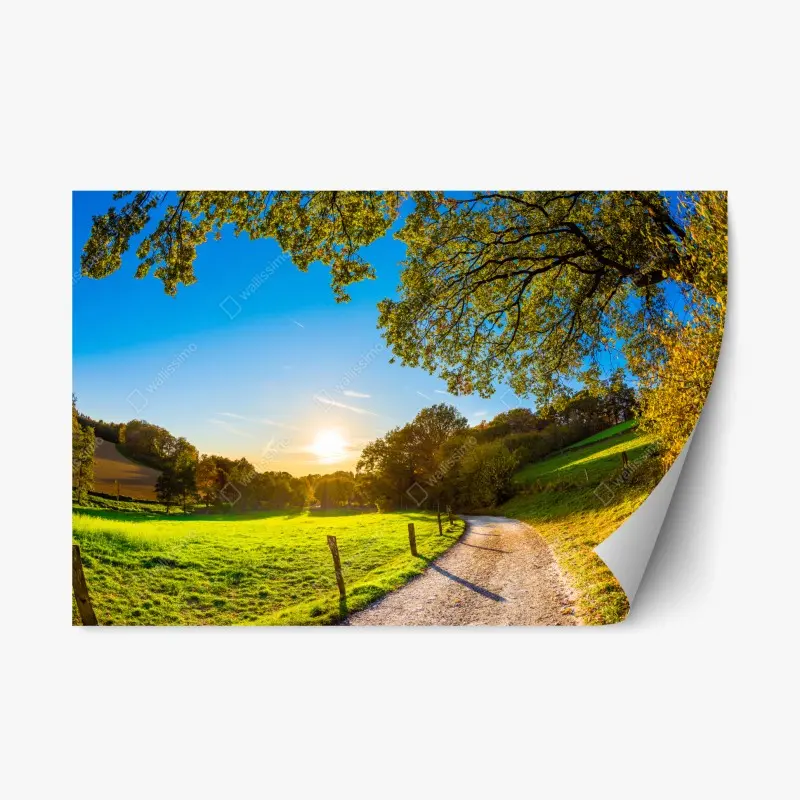 Repositionierbarer Aufkleber sonnenbeschienene wiese mit landweg bei sonnenuntergang