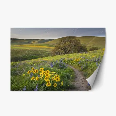 Repositionierbarer Aufkleber pfad durch blumenwiese mit eichenbaum – Pixers®