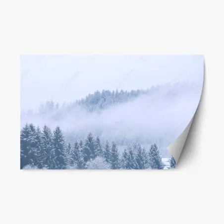 Repositionierbarer Aufkleber winternebel über nadelwald – Pixers®