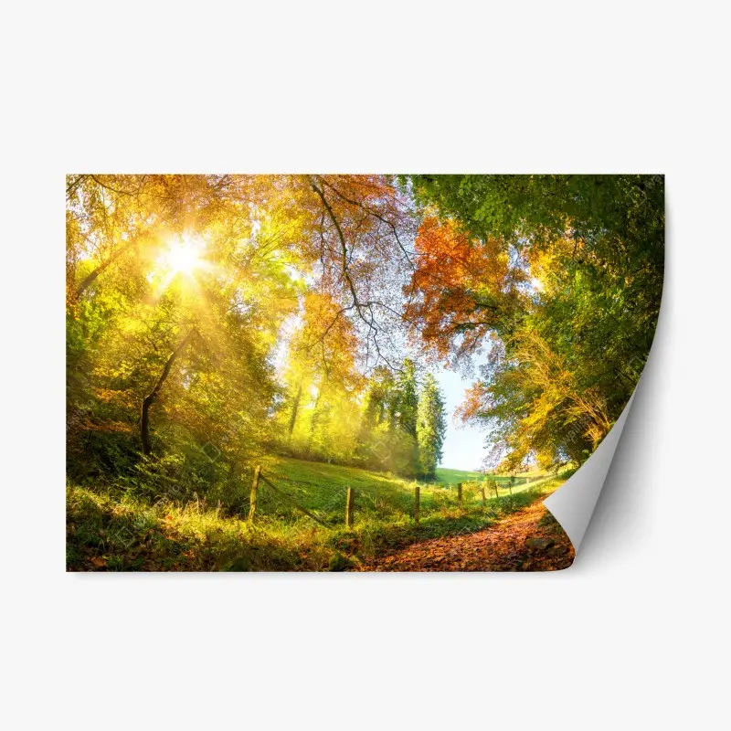 Repositionierbarer Aufkleber goldener herbstwaldweg