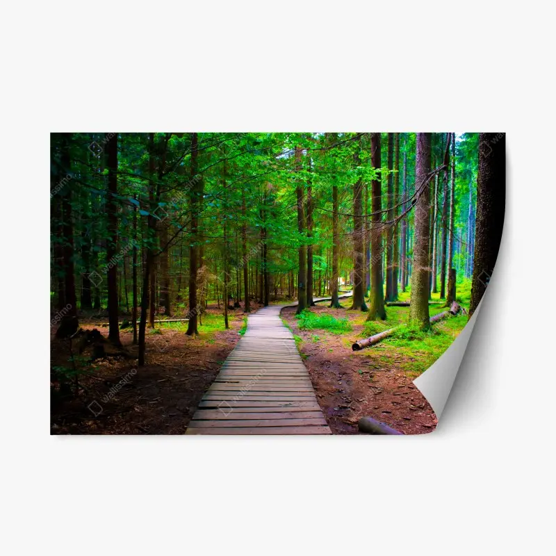 Repositionierbarer Aufkleber ruhiger waldsteg im grünen