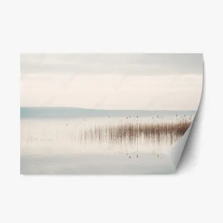 Repositionierbarer Aufkleber ruhige schilfzone am see – Pixers®