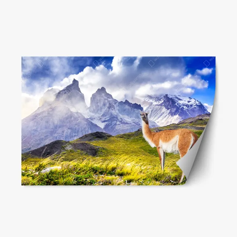 Repositionierbarer Aufkleber Torres del Paine Patagonia landschaft mit guanako
