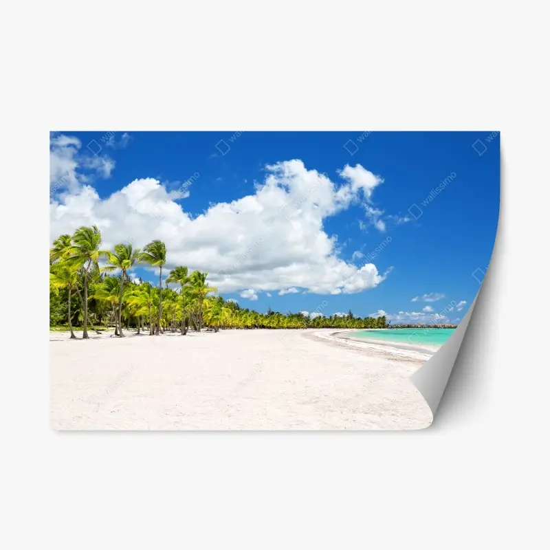 Repositionierbarer Aufkleber tropischer strand in Punta Cana