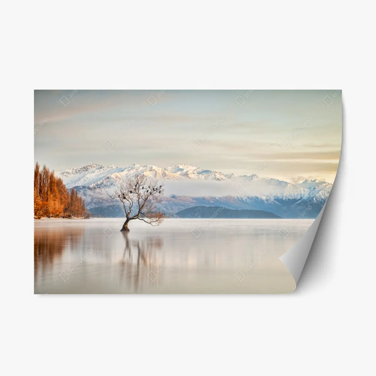 Repositionierbarer Aufkleber einsamer baum am see Wanaka – Pixers®