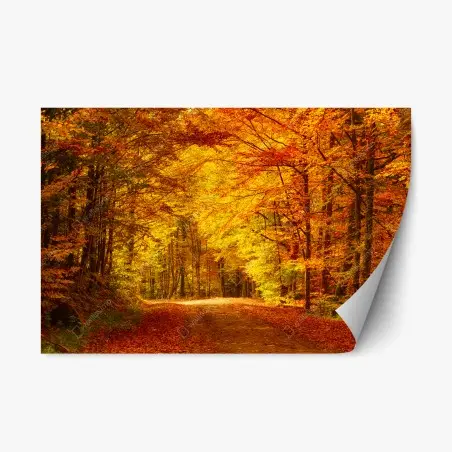 Repositionierbarer Aufkleber goldener herbstwaldweg – Pixers®