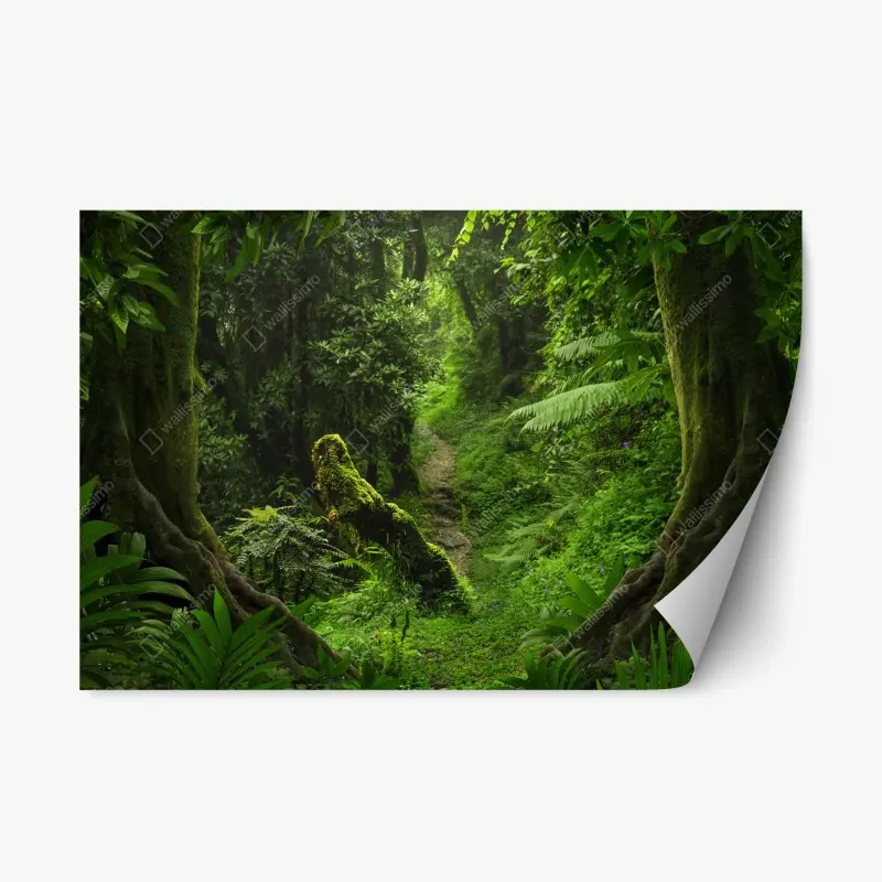 Repositionierbarer Aufkleber verzauberter moosiger waldpfad