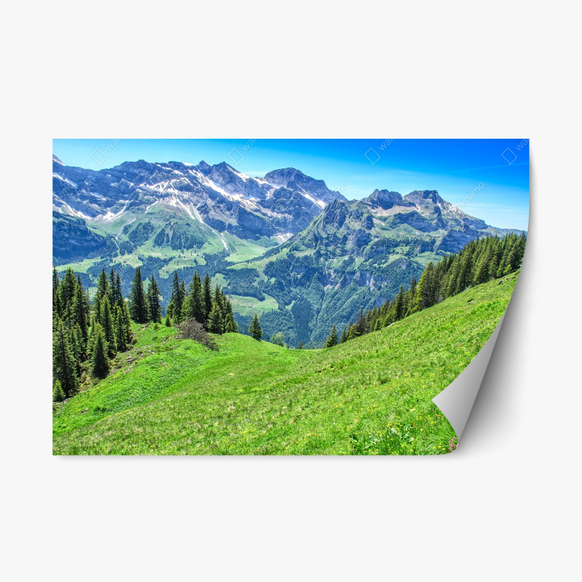 Repositionierbarer Aufkleber alpine panorama über Engelberg, Schweiz – Pixers®