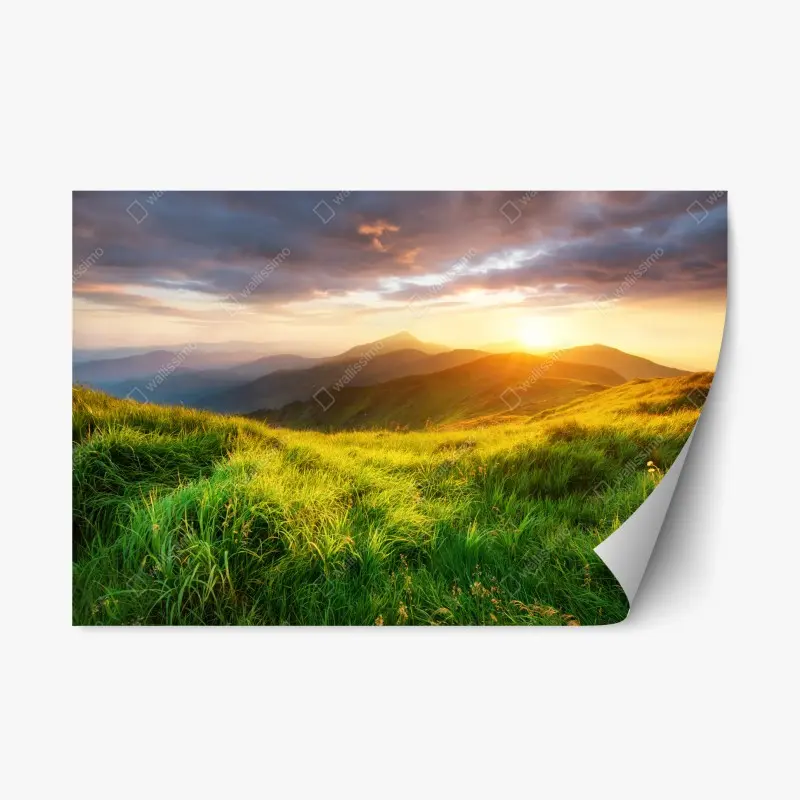 Repositionierbarer Aufkleber sonnige bergwiese bei sonnenaufgang