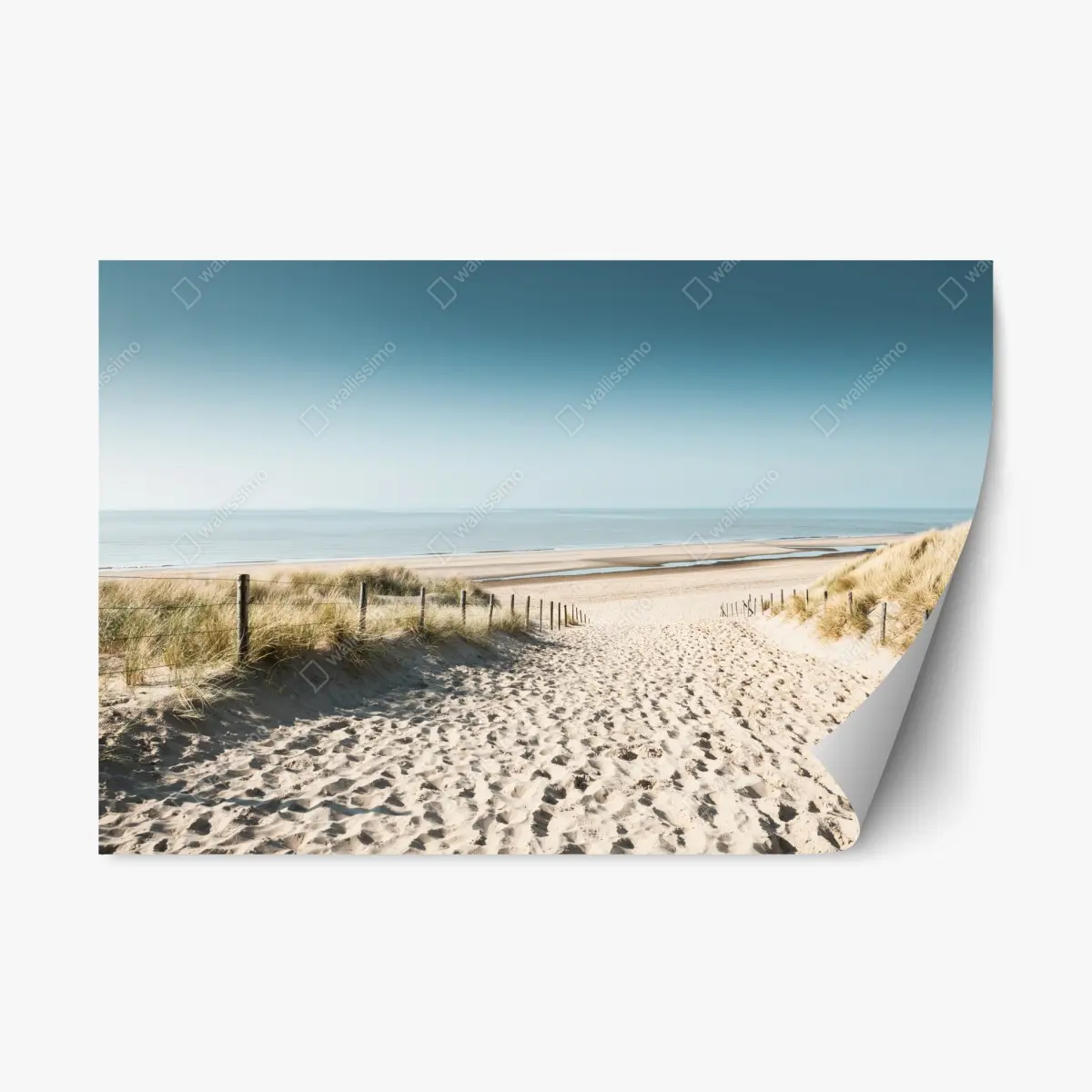 Repositionierbarer Aufkleber sanddünen und ruhige Nordsee bei Noordwijk – Pixers®
