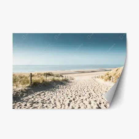 Repositionierbarer Aufkleber sanddünen und ruhige Nordsee bei Noordwijk – Pixers®
