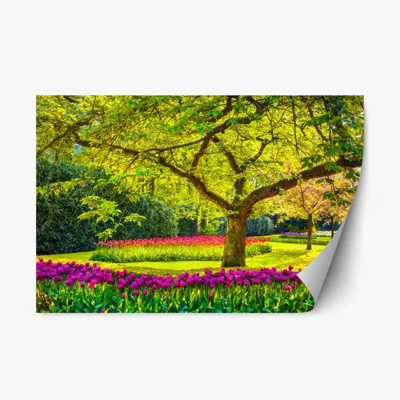 Repositionierbarer Aufkleber bunter tulpengarten in Keukenhof