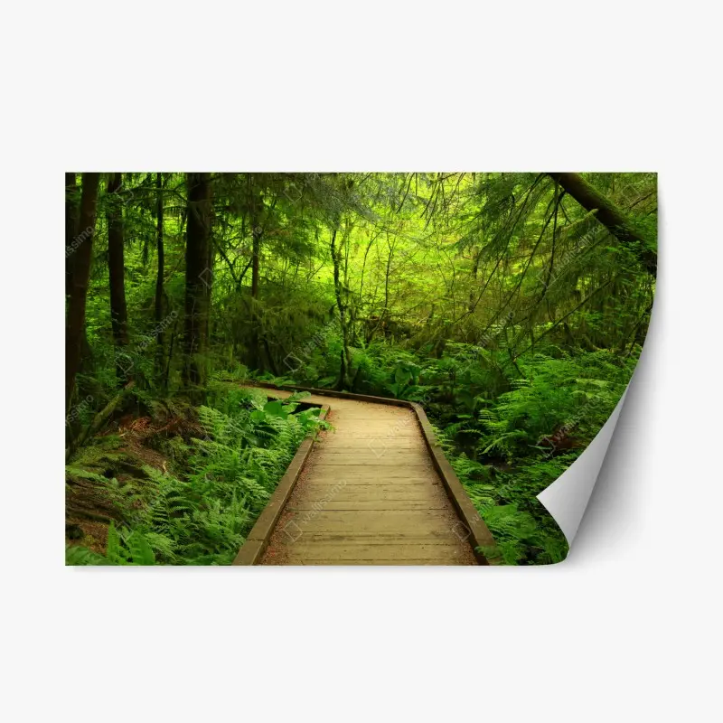 Repositionierbarer Aufkleber ruhiger grüner waldsteg