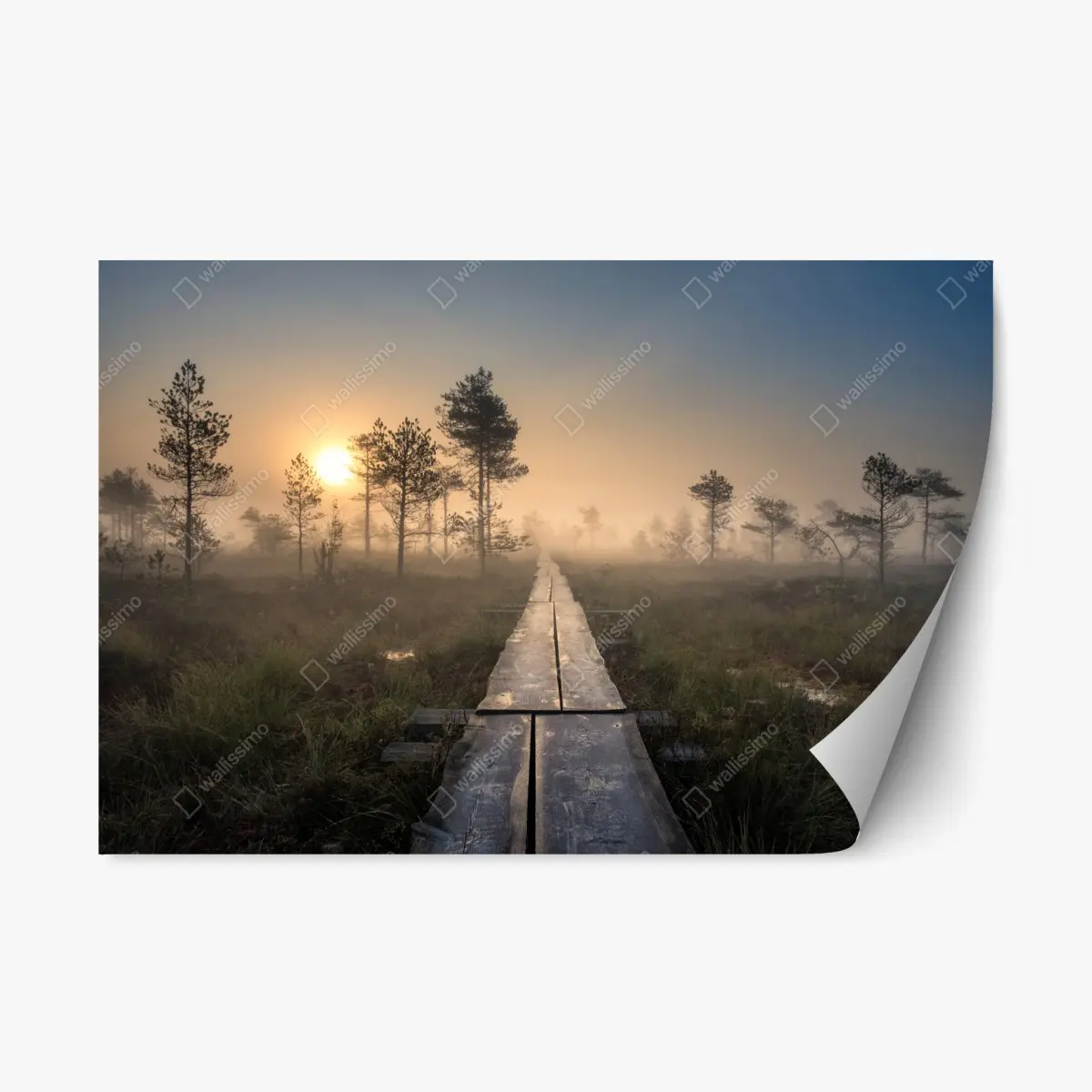 Repositionierbarer Aufkleber nebliger sonnenaufgang über dem holzsteg – Pixers®