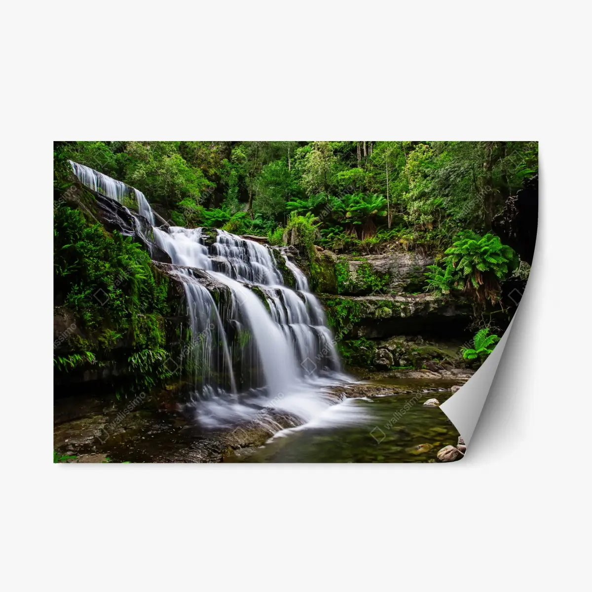 Repositionierbarer Aufkleber wasserfall Liffey Falls im üppigen Regenwald von Tasmanien – Pixers®