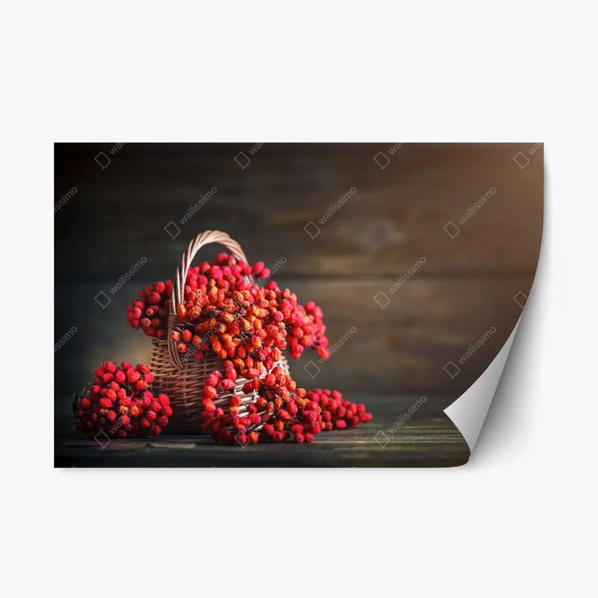 Repositionierbarer Aufkleber herbstliche vogelbeeren im weidenkorb – Pixers®