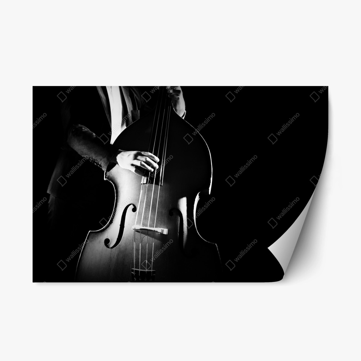 Repositionierbarer Aufkleber kontrabassist im dramatischen licht – Pixers®