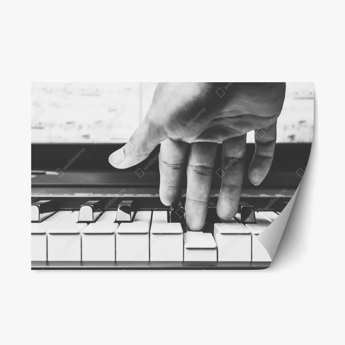 Repositionierbarer Aufkleber hand auf klaviertasten – Pixers®