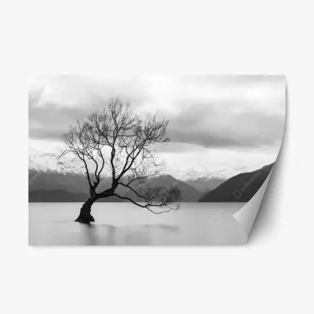 Repositionierbarer Aufkleber einsamer baum im see in schwarzweiß – Pixers®