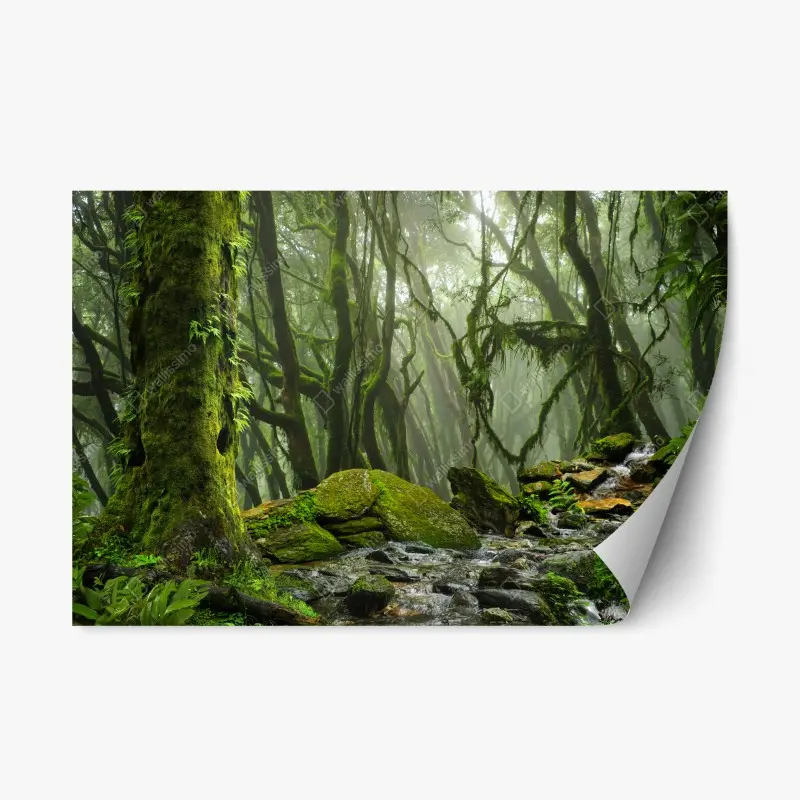 Repositionierbarer Aufkleber moosiger wald mit bach im nebel
