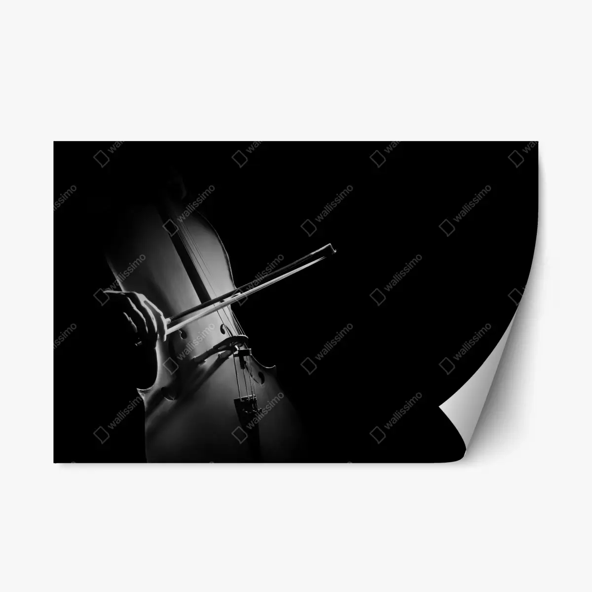 Repositionierbarer Aufkleber elegantes cello in monochrom – Pixers®