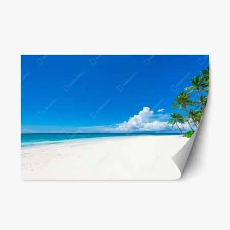 Repositionierbarer Aufkleber tropischer strand mit palmen – Pixers®