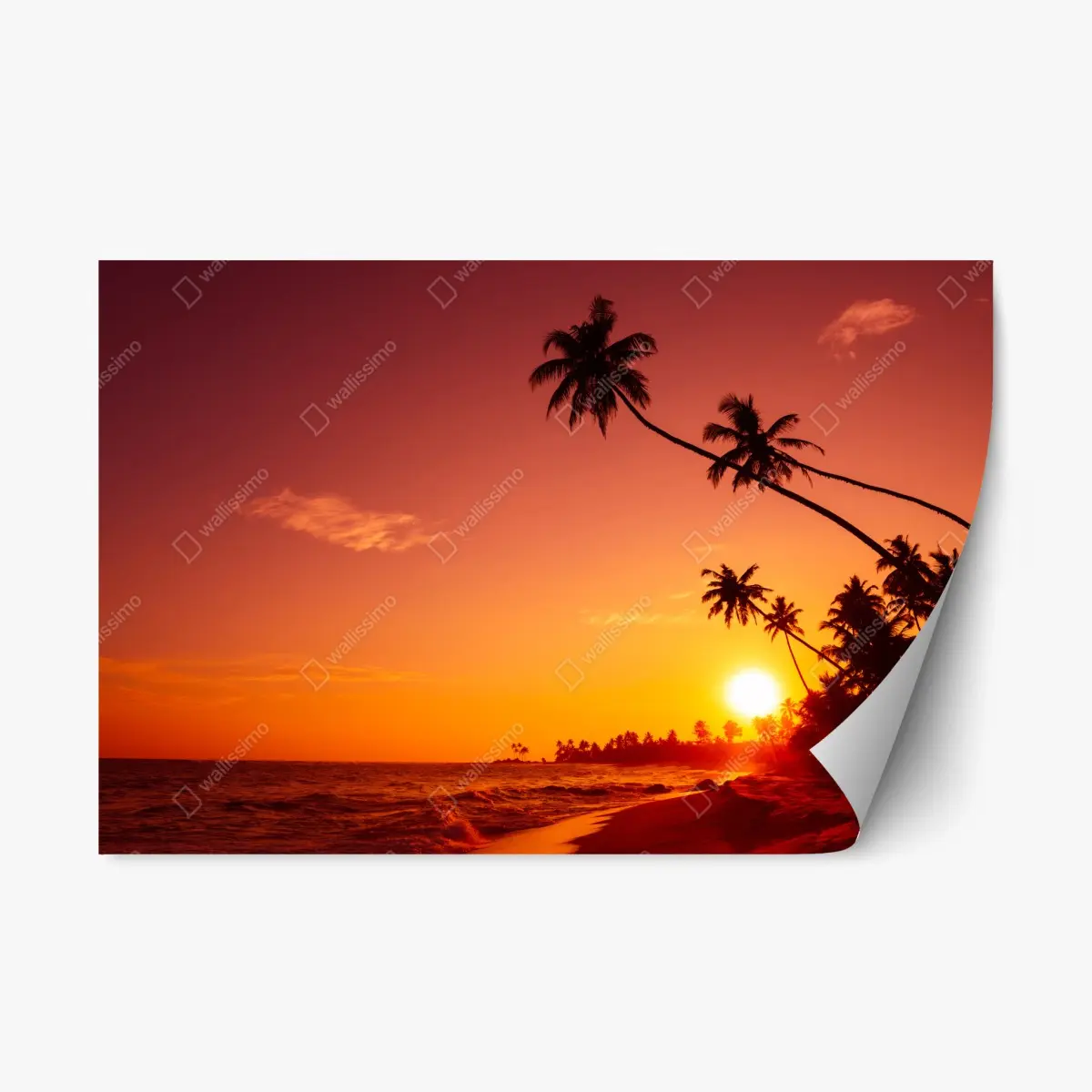 Repositionierbarer Aufkleber tropischer sonnenuntergang am strand – Pixers®