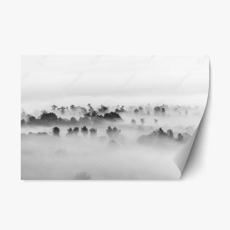 Repositionierbarer Aufkleber nebliger wald in monochrom