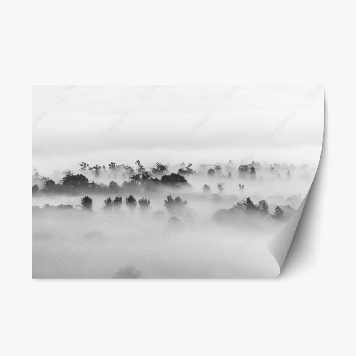 Repositionierbarer Aufkleber nebliger wald in monochrom – Pixers®