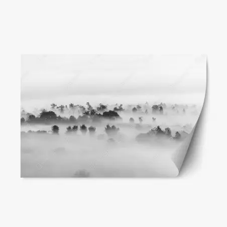 Repositionierbarer Aufkleber nebliger wald in monochrom – Pixers®
