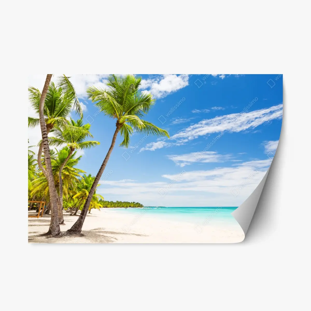 Repositionierbarer Aufkleber palmenstrand in Punta Cana – Pixers®