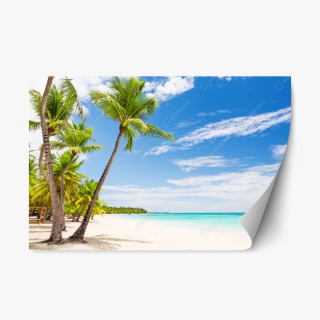Repositionierbarer Aufkleber palmenstrand in Punta Cana – Pixers®