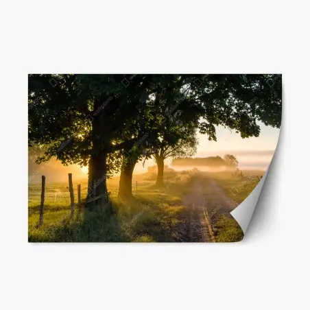 Repositionierbarer Aufkleber sonnenbeschienener landweg im morgendunst – Pixers®