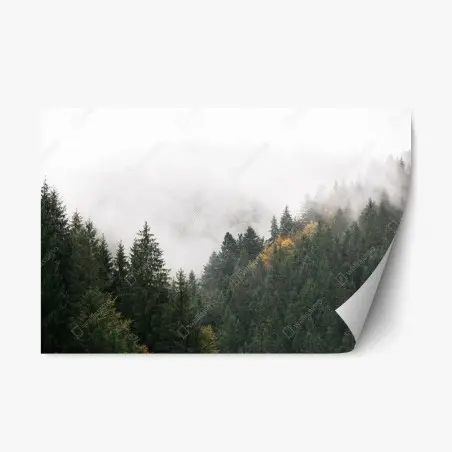 Repositionierbarer Aufkleber nebliger bergwald im dunst – Pixers®