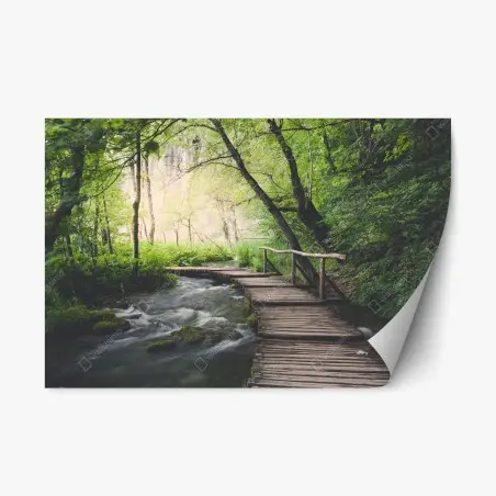 Repositionierbarer Aufkleber ruhiger hölzerner steg durch grünen wald – Pixers®