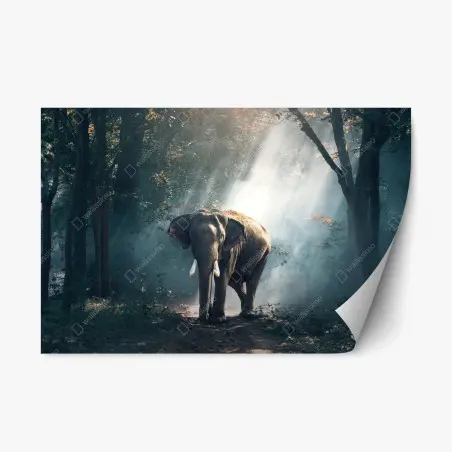 Repositionierbarer Aufkleber majestätischer elefant im sonnenlichtdurchfluteten wald – Pixers®