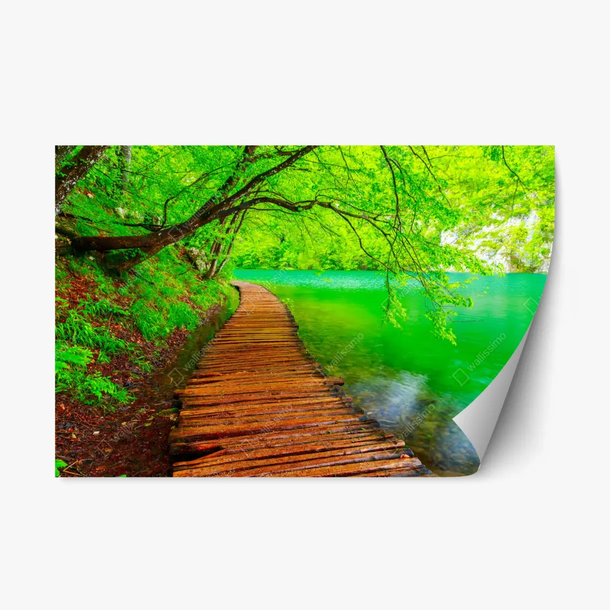 Repositionierbarer Aufkleber ruhiger grüner steg am see – Pixers®