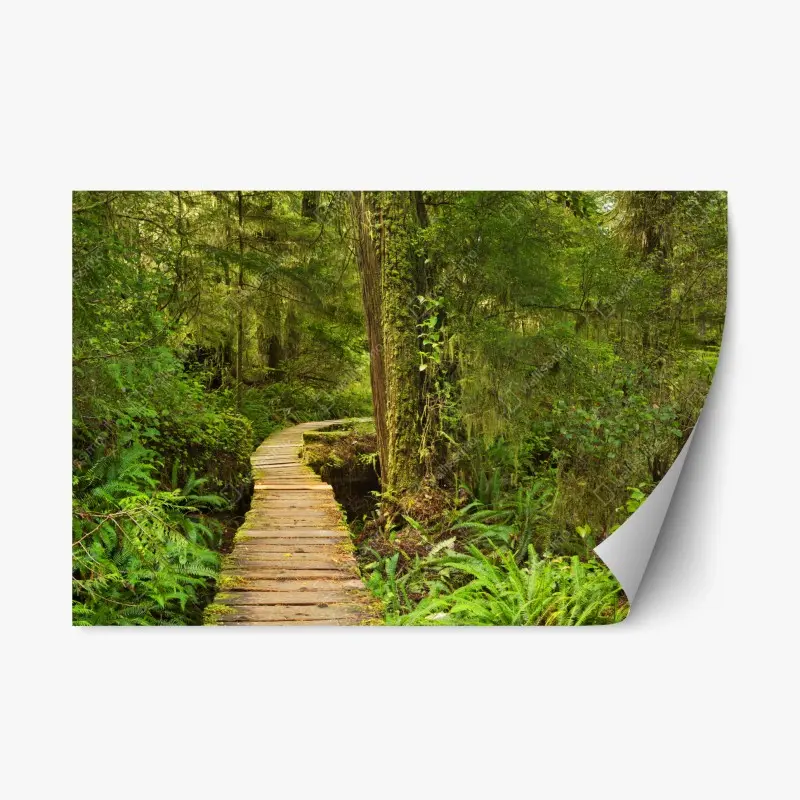 Repositionierbarer Aufkleber steg im Pacific Rim regenwald
