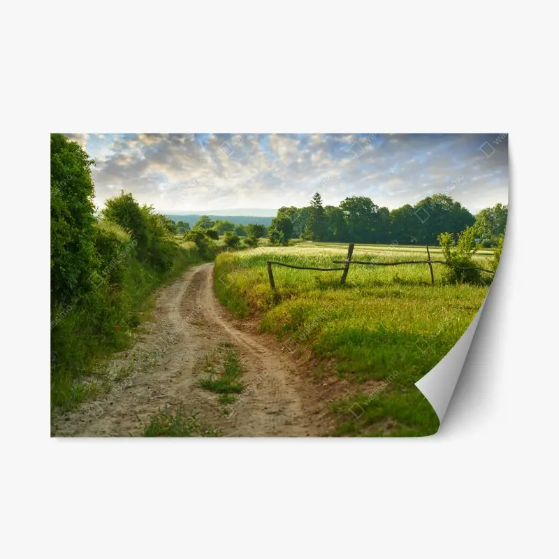 Repositionierbarer Aufkleber sonniger landweg durch grüne wiesen
