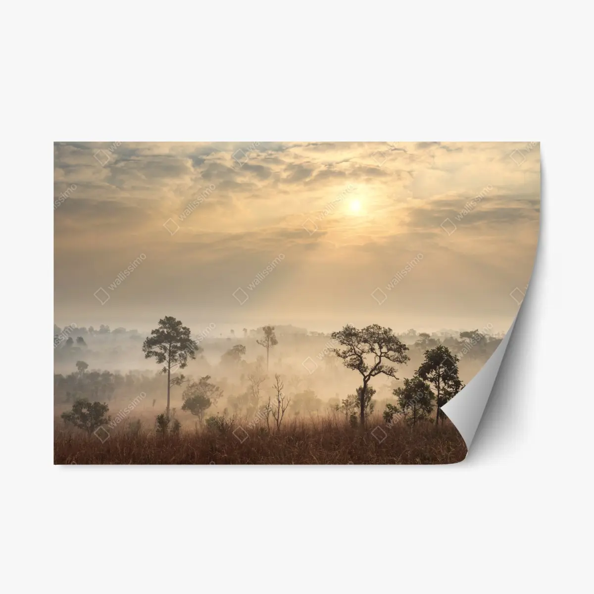Repositionierbarer Aufkleber Thailand sawanne bei sonnenaufgang – Pixers®