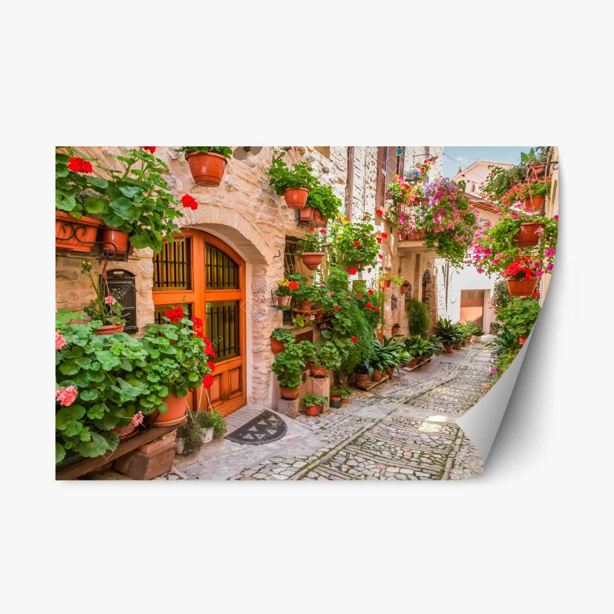 Repositionierbarer Aufkleber sonnige gasse in Italien mit blühenden töpfen – Pixers®