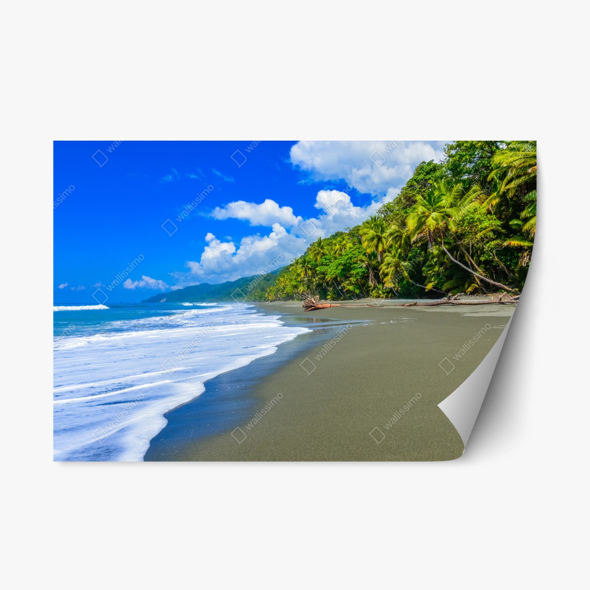 Repositionierbarer Aufkleber wilder strand bei Corcovado, Costa Rica – Pixers®