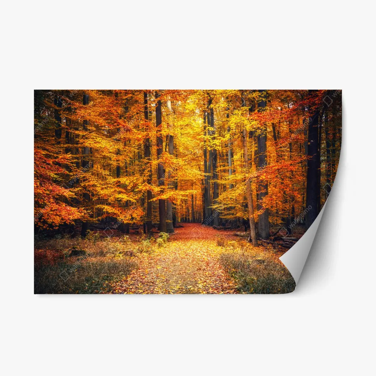 Repositionierbarer Aufkleber herbstlicher waldpfad mit goldenen blättern – Pixers®