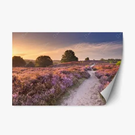Repositionierbarer Aufkleber Posbank bei sonnenaufgang über blühender heide – Pixers®